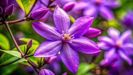 Purple jasmine's intricate petals unfold to disclose delicate stamens, a symphony of beauty in this jaw-dropping