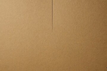 Fototapeta premium paper texture cardboard background