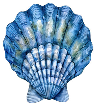 PNG  Blue watercolor seashell illustration