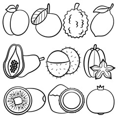 vector set of fruits doodle