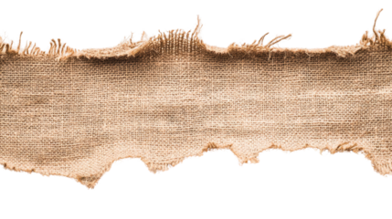 torn burlap on transparent background