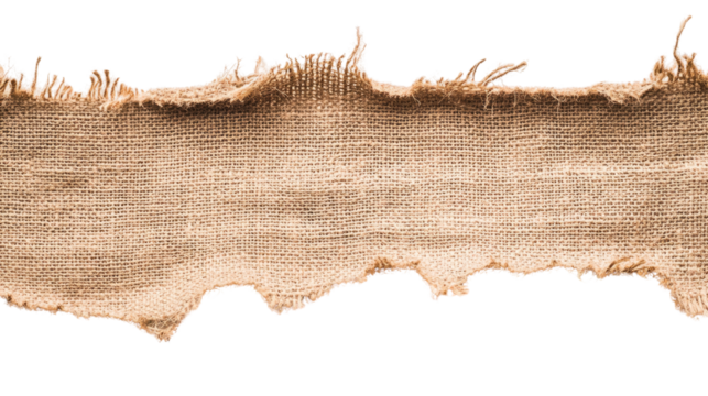 torn burlap on transparent background