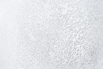 Fototapeta premium Water drops on white background, water drops pattern background