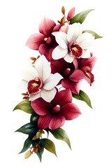A vibrant arrangement of orchids in shades of red and white, perfect for enhancing floral designs and nature-themed projects.