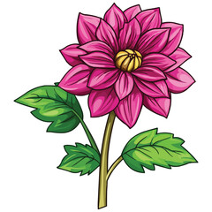 Obraz premium vector magenta dahlia flower clipart with green leaves on the stem