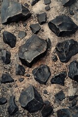 Oil painting of small rough black rocks scattered on the ground showcasing their distinct textures and shapes