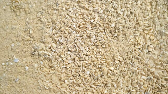 Top view video from above, flat lay establishing scene: flat lay rotating sand background with fine grains and seashell patterns covering the entire frame space