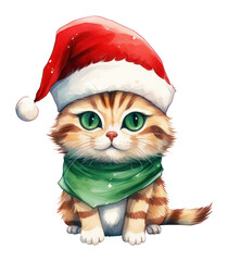 PNG Cat christmas cartoon mammal.