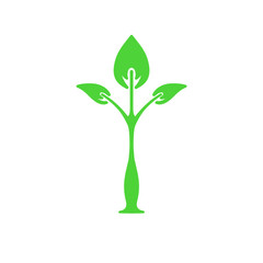 green plant isolated on white background