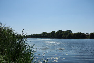 Hnylopiat River within the city of Berdychiv, Ukraine, on a sunny day, with green reeds in the foreground and a distant pedestrian bridge in the background.