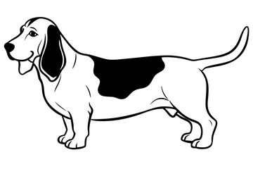 Basset Hound silhouette vector illustration