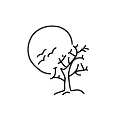 Halloween line icon 