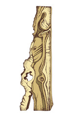 Hand drawn vector wood slab