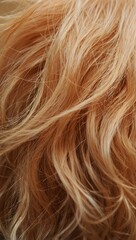 Naklejka premium A close up of a person's curly hair with a lot of volume and texture