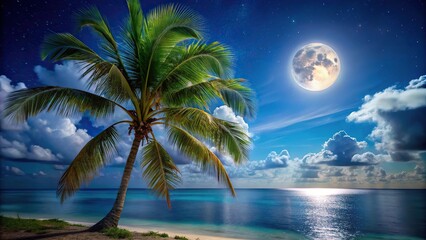 Tilted angle palm tree under moonlit sky on Caribbean coastline