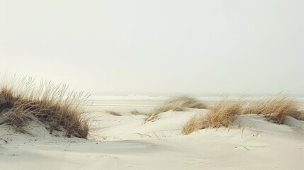 Elegant seaside landscape  serene dunes and fine sand in timeless vogue inspired aesthetic