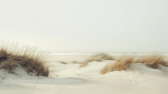 Elegant seaside landscape  serene dunes and fine sand in timeless vogue inspired aesthetic