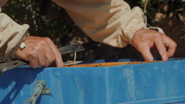 Close-up video of a beekeeper collecting honey from a hive in Greece, slow motion x100