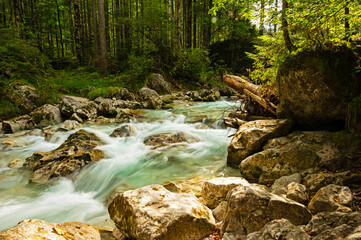 Fototapeta premium Ramsauer Ache river in the magical forest near Ramsau in Bavaria