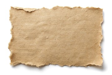 Fototapeta premium Torn paper scrap isolated on white background with clipping path.