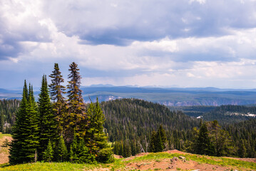 Mountain forest with distant horizon and dramatic cloud-covered skies.