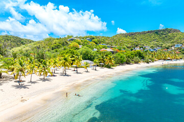 Palm fringed beach in the turquoise lagoon, Caribbean