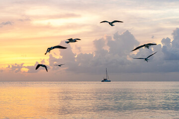 Boat sailing at sunset, Caribbean