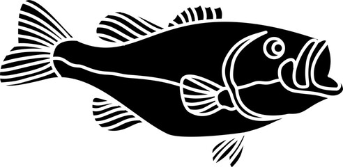 Bass fish illustration vector