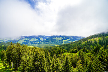 View from Schatzberg of the surrounding landscape. Idyllic nature in Wildschönau in the Kufstein district in Austria. Mountain landscape in the Kitzbühel Alps in Tyrol.
