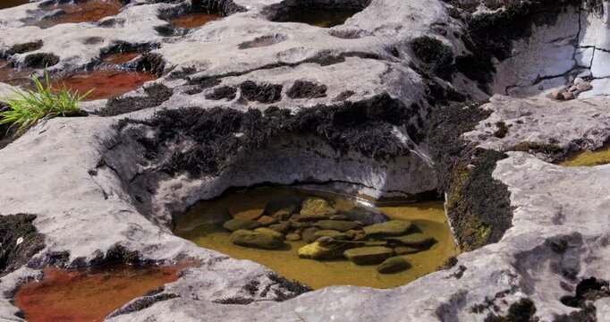 shot of limestone Swiss cheese holes with water and gravel inside. On the river ure at the lower falls at Aysgarth falls, Yorkshire dales