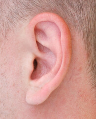 Obraz premium Close-up of a man's ear. Macro