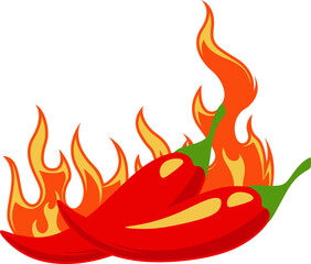 Spicy Chili with Flame