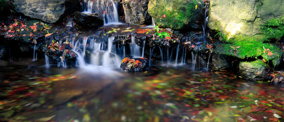 water drops on the leaf