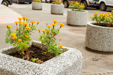 ornamental flower beds on a regular floor plan in the middle of a square of granite paving....