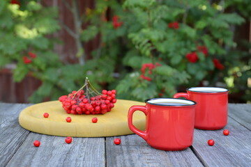 Red mugs of hot tea stand on a boards table next to a bunch of rowan berries on a yellow wooden tray against the background of a rowan tree.