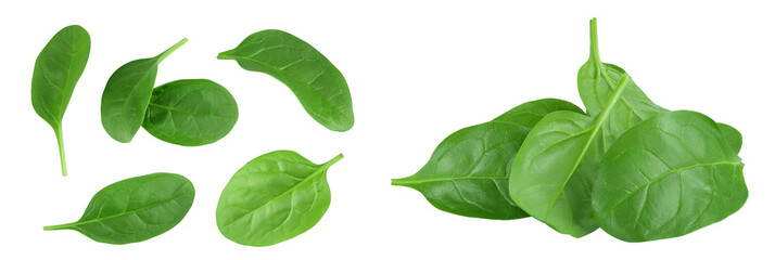 Baby spinach leaves isolated on white background. Top view. Flat lay