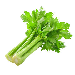 Fresh green celery stalks arranged neatly on a transparent background, showcasing vibrant leaves and crisp texture for culinary use