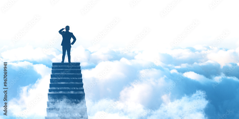 Poster back view of young businessman climbing ladder on blurry sky background with mock up place and cloud
