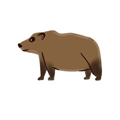 Bear