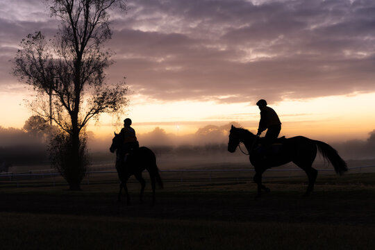 Two riders on horseback and tree silhouetted at foggy sunrise