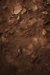 Fototapeta premium Fertile soil close-up texture flat lay background