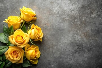yellow roses on grey background with leading lines, copy space
