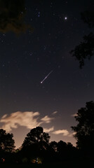 Falling star in the night sky