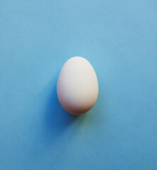 Egg, studio background and birth rate for reproduction or fertility for future, hope and new life. Food, isolated and nutrition for health with conceiving, growth and embryo for natural process
