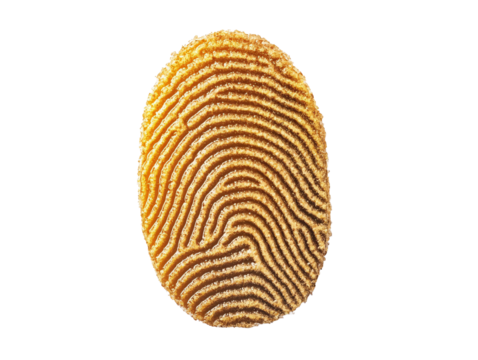 a fingerprint on a white background