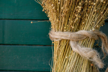 Sheaf of flax tied with bast flax fiber. Wooden deep teal background. Copy space.
