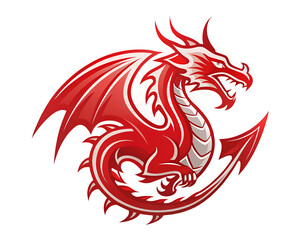 Fototapeta premium dragon vector icon illustration logo design
