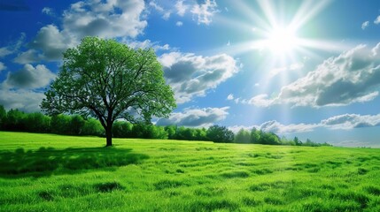 Obraz premium Beautiful landscape view of green summer forest with spruce and pine trees mountain, lake, river.