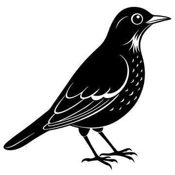 recommend clip art: Thrush bird silhouette vector design on a white background 