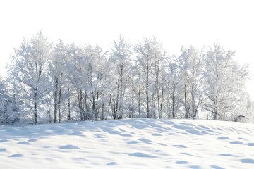 Obraz premium A snow-covered field with trees in the background